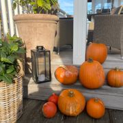 comment.user?.profileImg