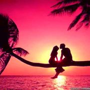 comment.user?.profileImg