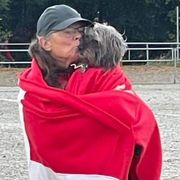 comment.user?.profileImg