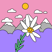 comment.user?.profileImg