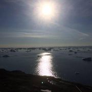 comment.user?.profileImg