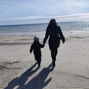 comment.user?.profileImg