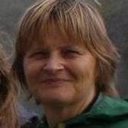 comment.user?.profileImg