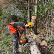 Havemand Mikkel Boye