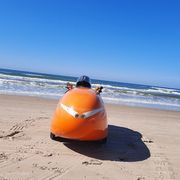 Opgaveejer for løst opgaver online