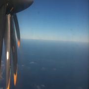 comment.user?.profileImg