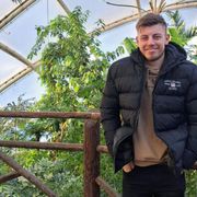 Opgaveejer for løst opgaver online