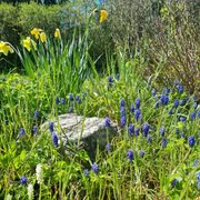 comment.user?.profileImg