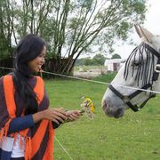 Opgaveejer for løst opgaver online