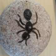 comment.user?.profileImg