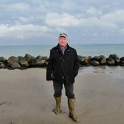 comment.user?.profileImg