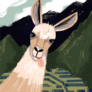 comment.user?.profileImg