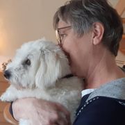 comment.user?.profileImg