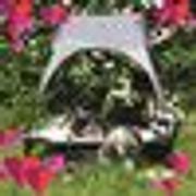 comment.user?.profileImg