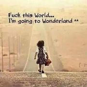 comment.user?.profileImg