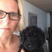 comment.user?.profileImg