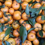 Opgaveejer for løst opgaver online