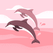 comment.user?.profileImg