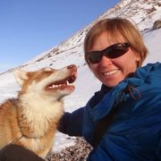 comment.user?.profileImg