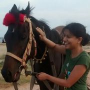 comment.user?.profileImg