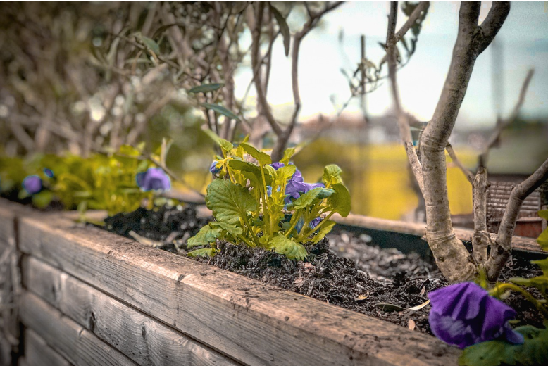 Gør haven levende med plantekasser