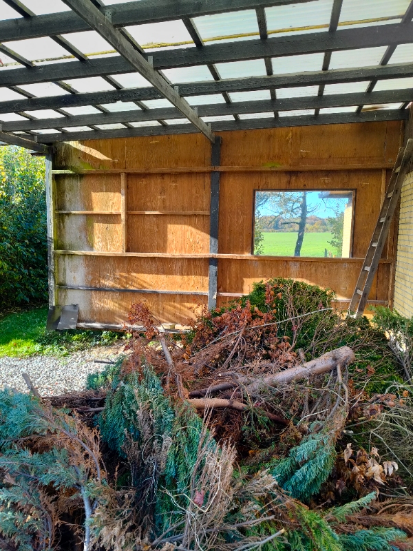 Have: Beskæring, nedrivning