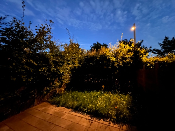 Hækkeklip med bortkørsel af grene. Meget høj hæk trimmes ned og ind - ca. 10-12 løbende meter.