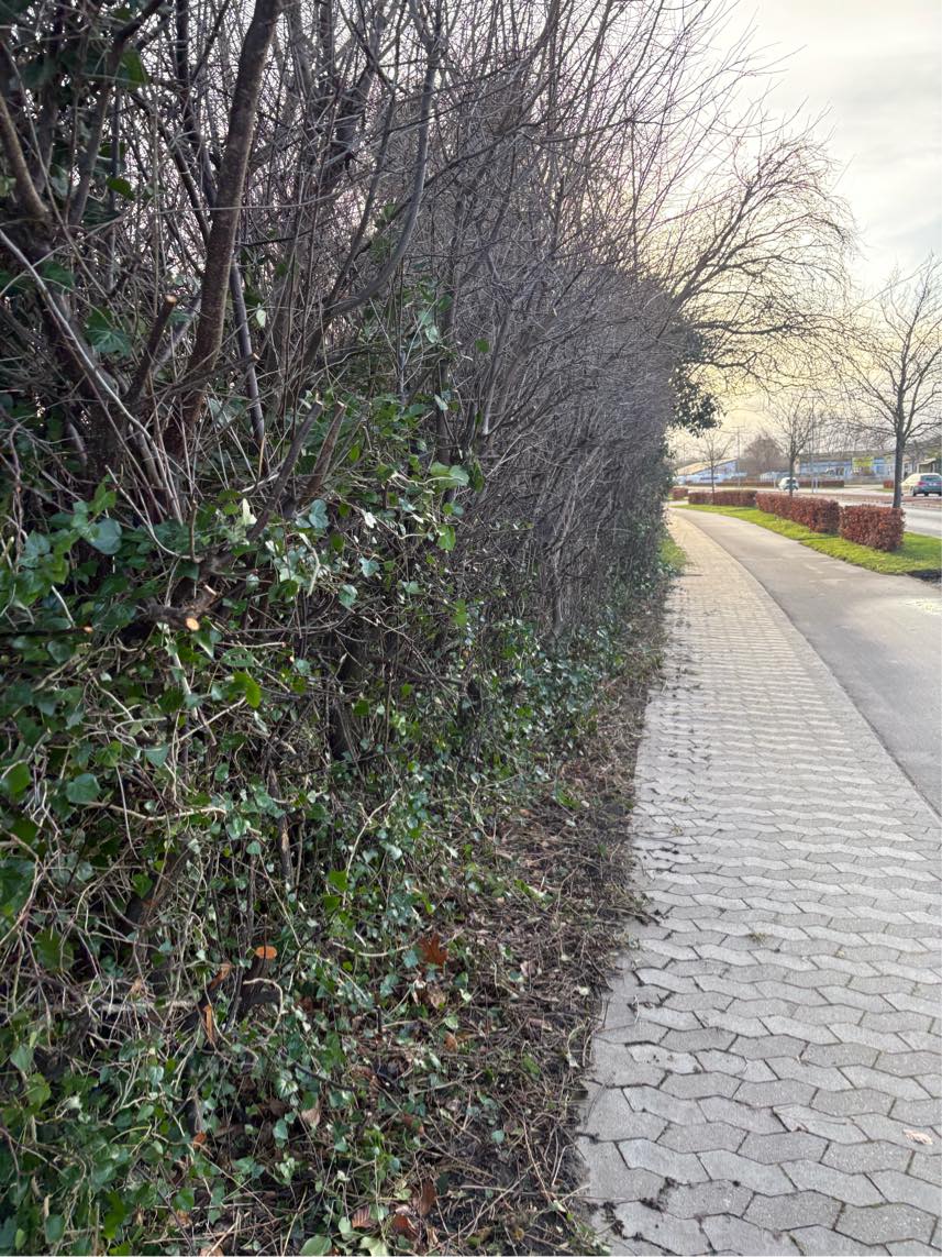 Opsætning af element hegn