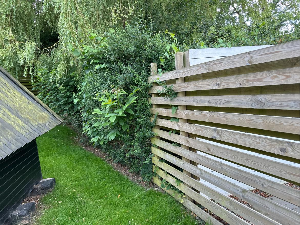 Garden lawn moving and fence trimming
