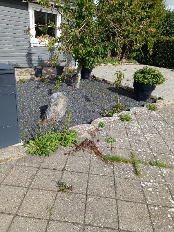 Fjerne ukrudt i stenbed, fliser og vejkant
