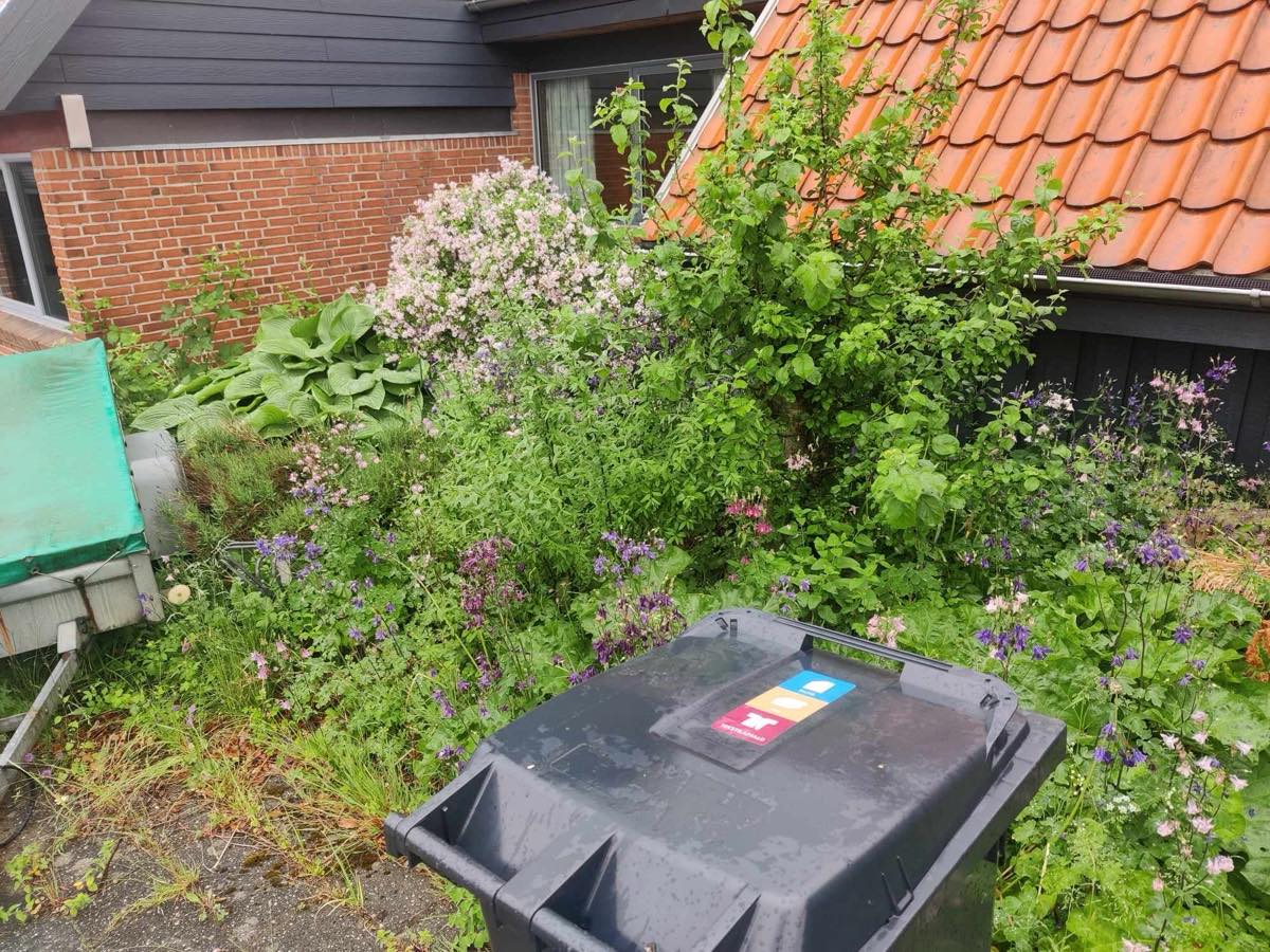 Haveklarering og ukrudtsfjerning 75 kvm