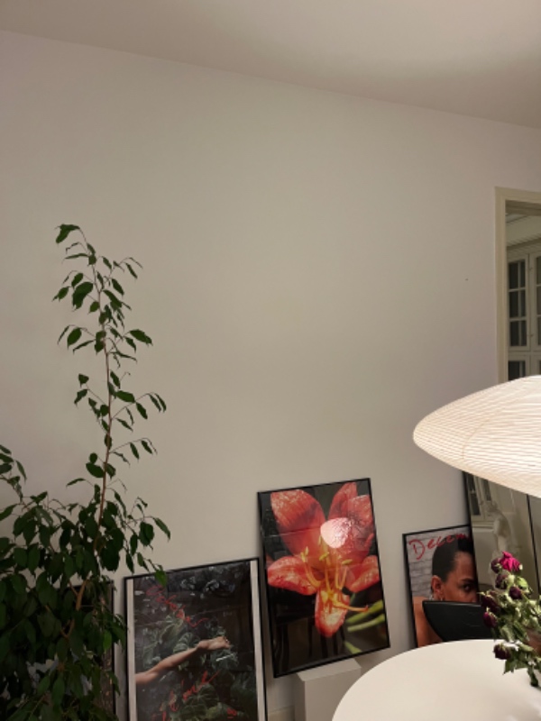 Hænge 15 rammer op i lejlighed