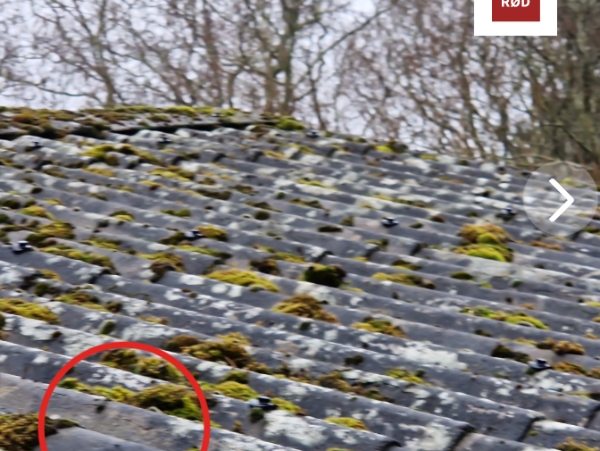 Fjernelse af eternittag med asbest på sommerhus