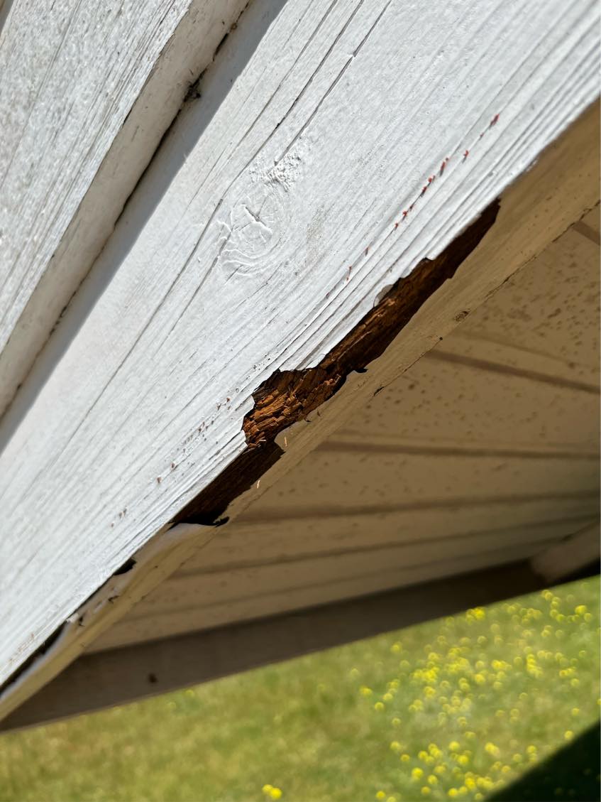 Udskiftning af sydvendt vindskede