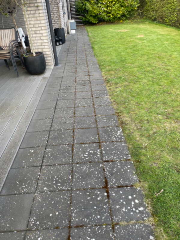 Fjernelse af ukrudt fliser/terrasse