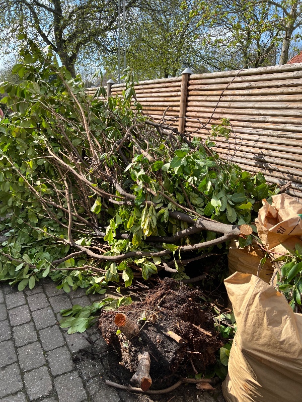 Div. haveaffald skal køres væk 