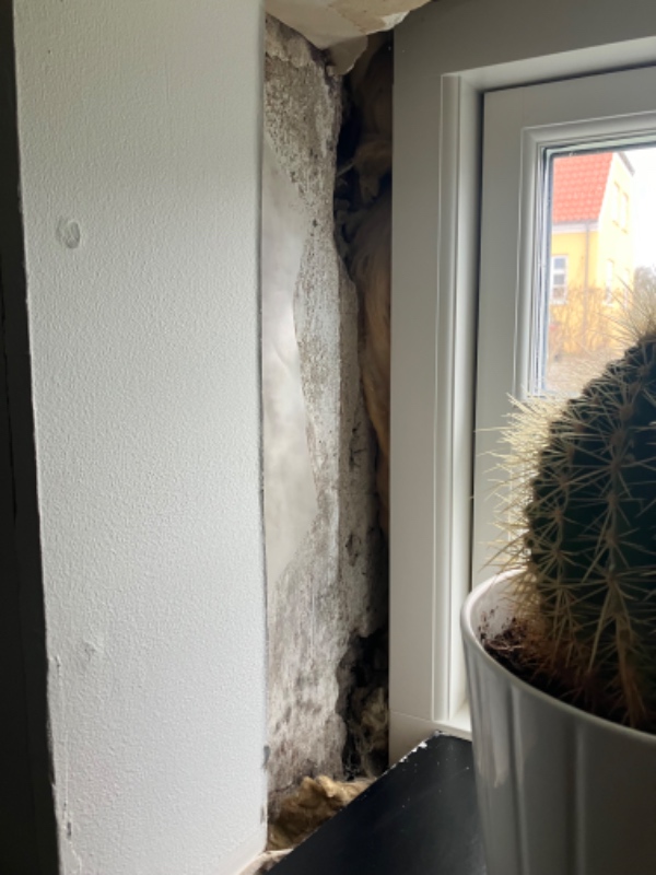 Lysninger og gipsloft i kælder