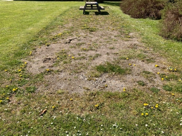 Renovering af petanquebane