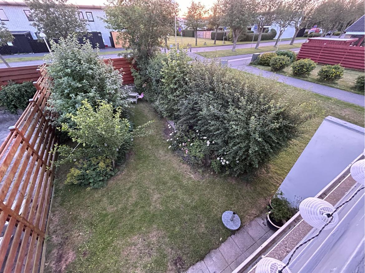 Opgravning af 10 meter hæk af varierende art