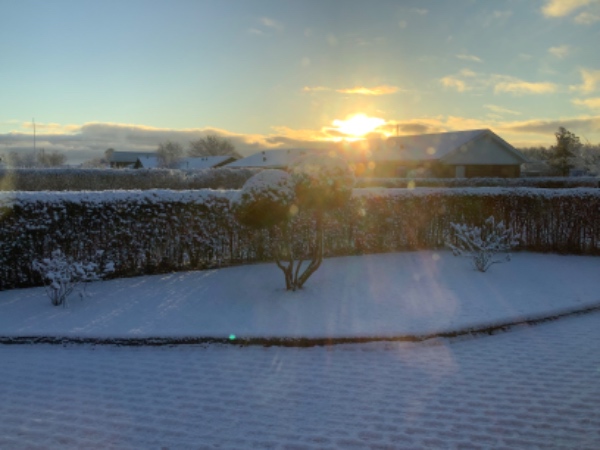 Anlægning af stenbed i gammelt bed med kantstensopsætning