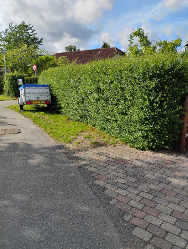 Opsætning af komposithegn 46 meter jeg vedhæfter nogle billeder af hvor det skal stå, men der er en hæk lige nu.