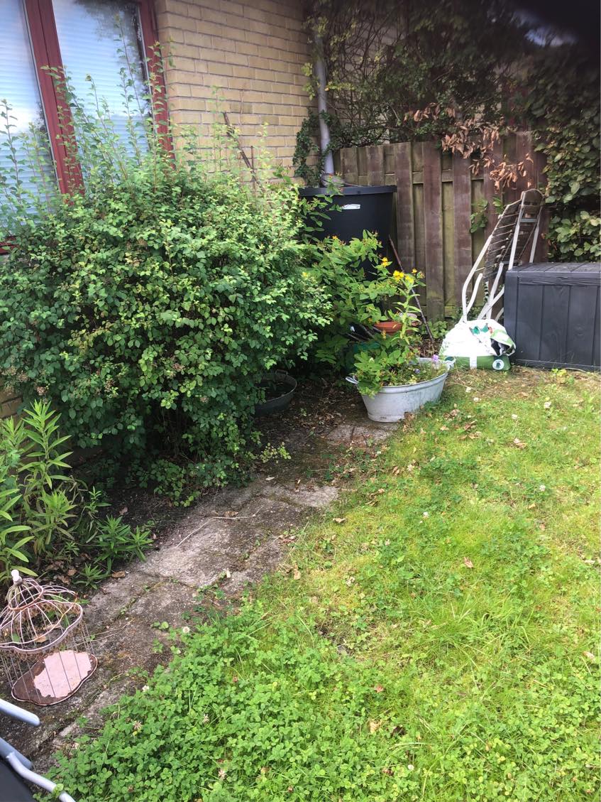 HJÆLP! Ukrudtet har fået magten i mine 2 små haver!