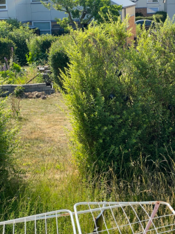 Have og ukrudt arbejde