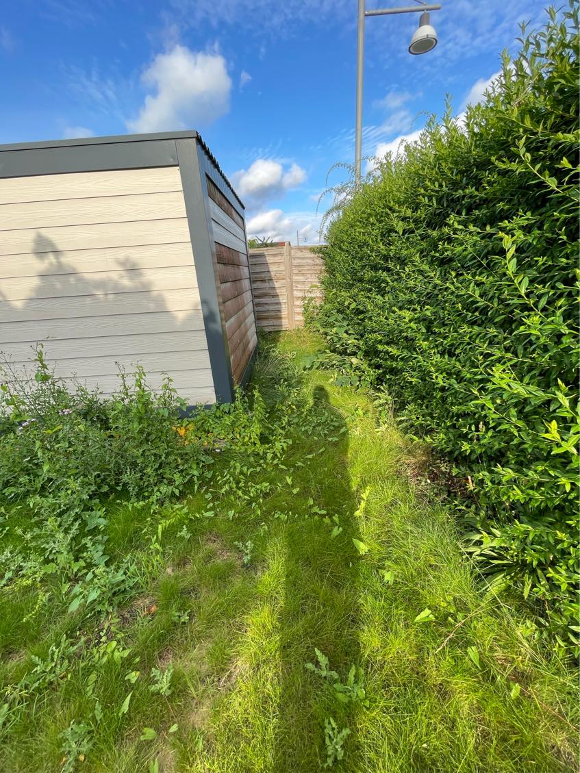 Ukrudtsfjernelse i forsømt have