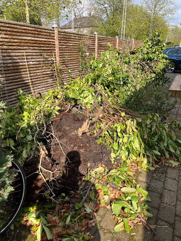 Div. haveaffald skal køres væk 