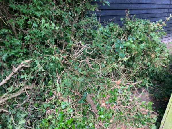 Bortskaffelse af havelåge og hækaffald