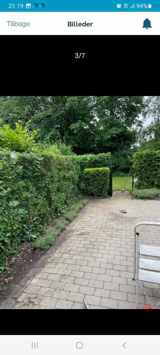 Vedligeholdelse af lille have alt incl.