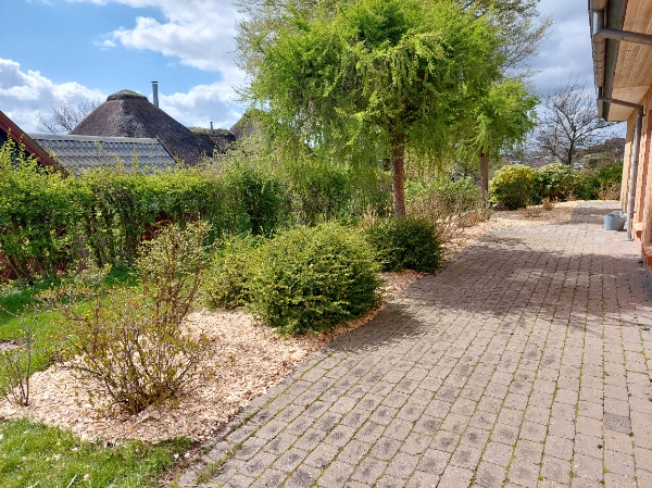 Havearbejde: hækklipning og ukrudtsfjernelse