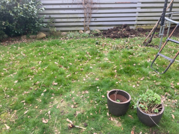 Græsplænefornyelse og nivellering