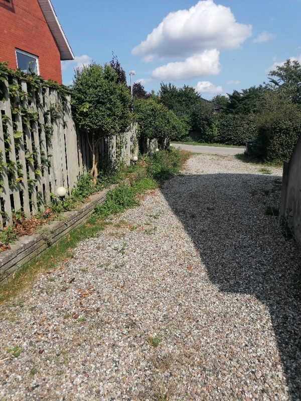 Klippe hæk og fjerne ukrudt